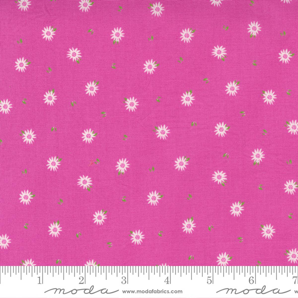 Sincerely Yours Petunia Chamomile Floral 37614-18