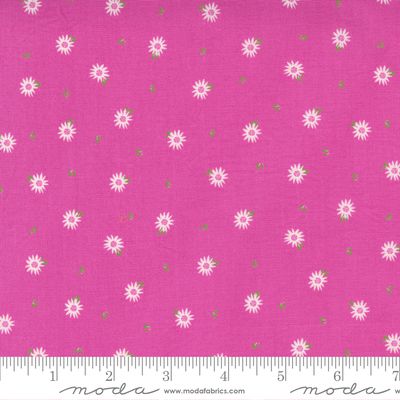 Sincerely Yours Petunia Chamomile Floral 37614-18