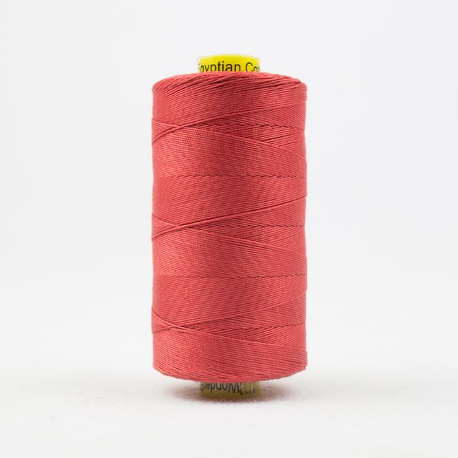 Hovedbilde Spagetti Coral